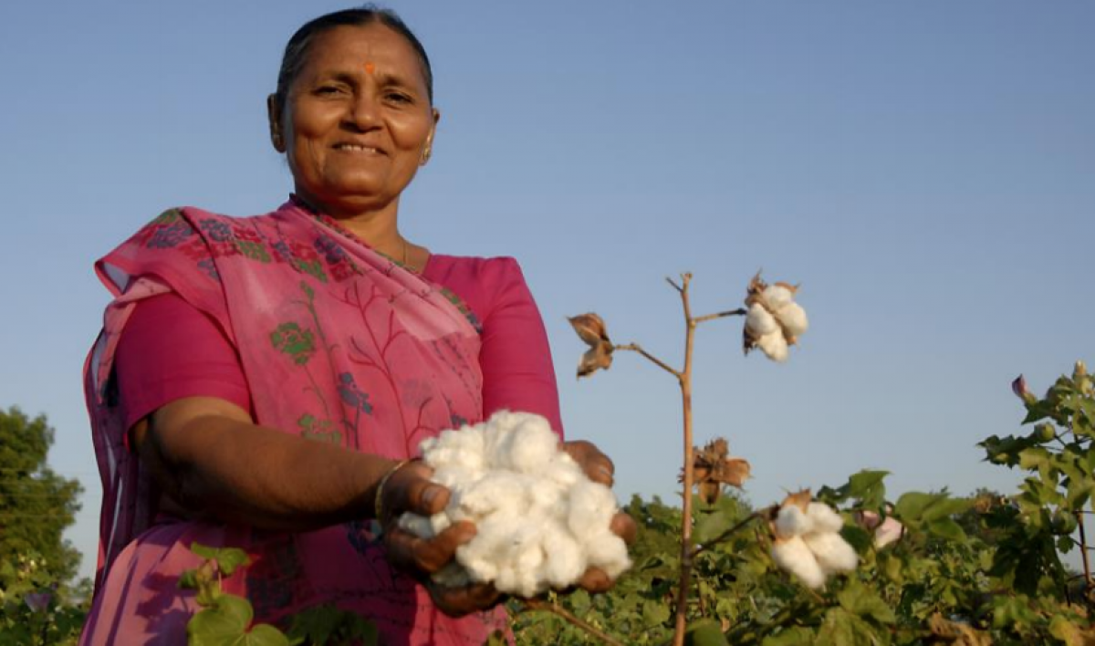 Advocating For Women's Rights In Cotton Farming