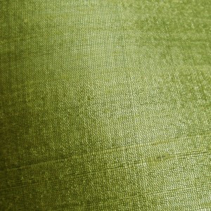 Lime Green Raw Silk