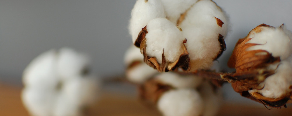 Exciting Breakthrough In Recycled Cotton Fabric