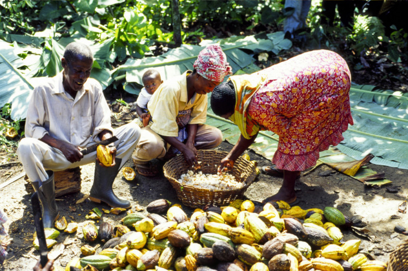 what is fair trade?